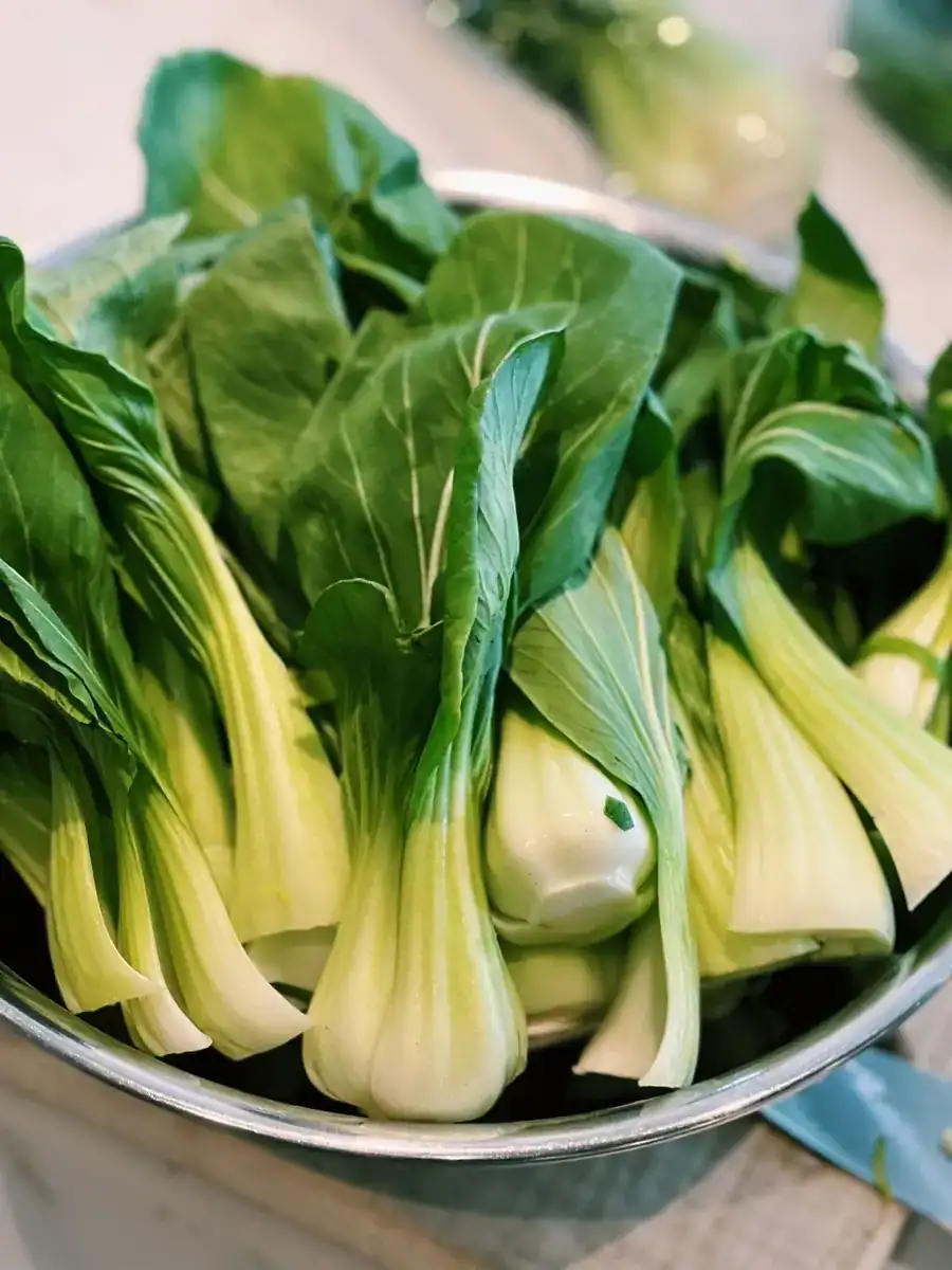 Fresh Bok Choy prepared for cooking