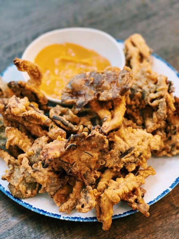 Deep Fly Meat 10 Simple Deep Fry Recipes With Pro Frying Tips - Tiffy Cooks