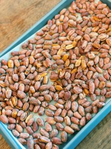 Grandma's Roasted Peanuts Cooling