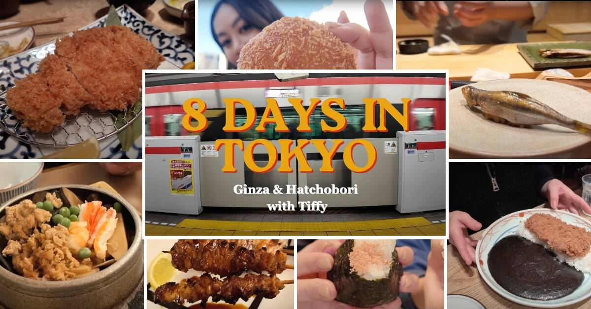 A collection of treats in tokyo's ginza and hatchobori district, including omakase sushi and tonkatsu