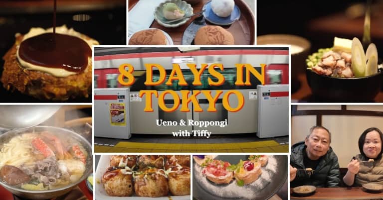 Tokyo Finale: Ueno Park, Roppongi, and Monjayaki Experience