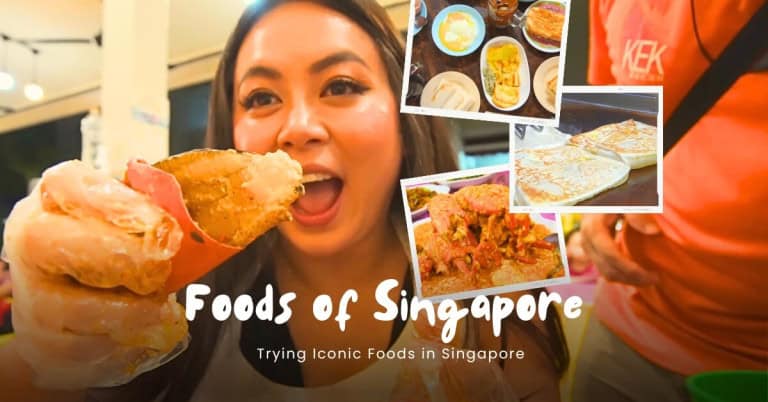 Iconic Singaporean Food I Got To Try In Singapore