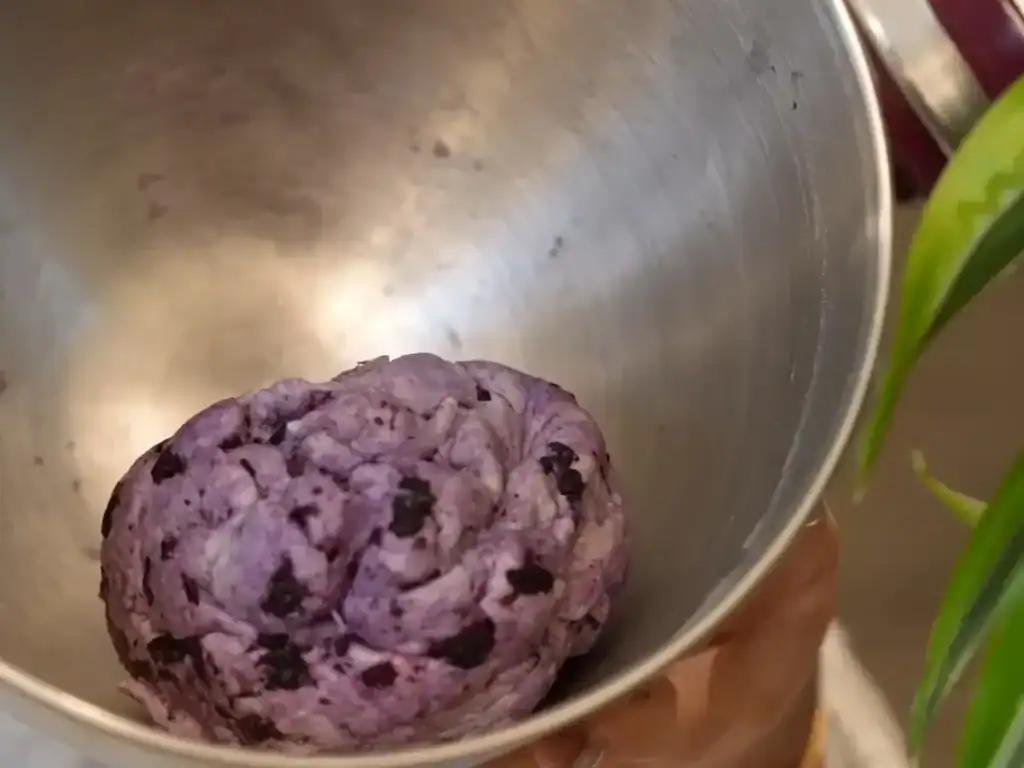 Mixing the dough for Japanese Blueberry Bagel in the stand mixer