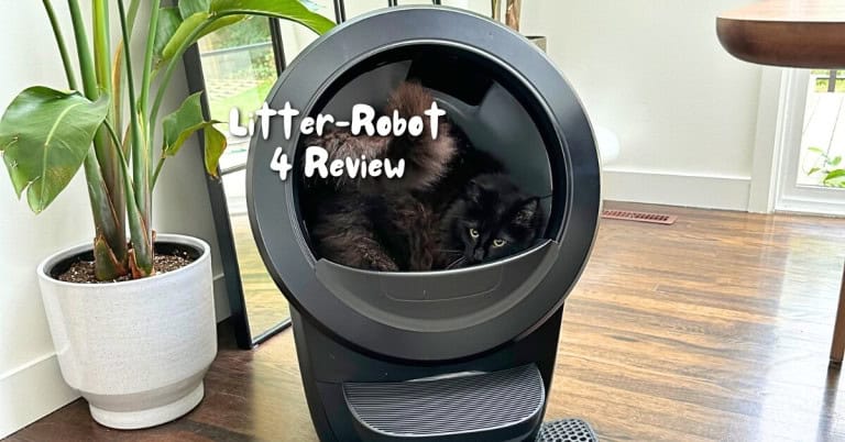 Cleaning Kitty Litter Smarter with Litter-Robot 4