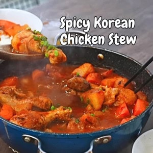 Spicy Chicken Stew