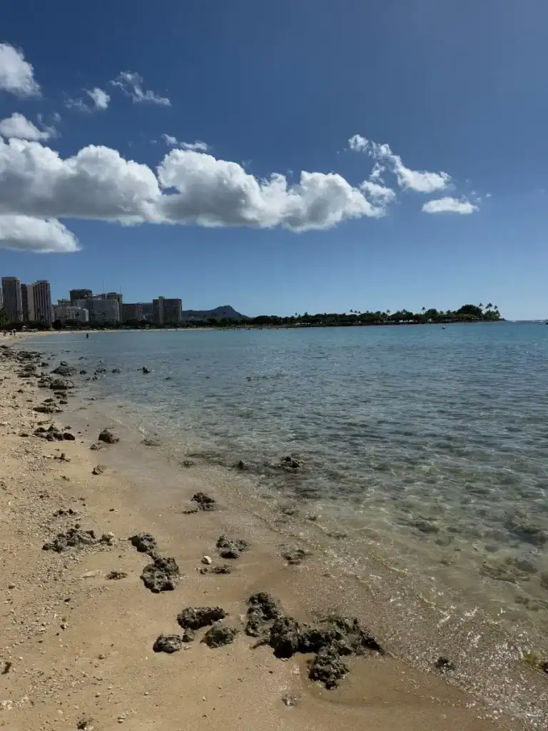 Waikiki Beach Front
