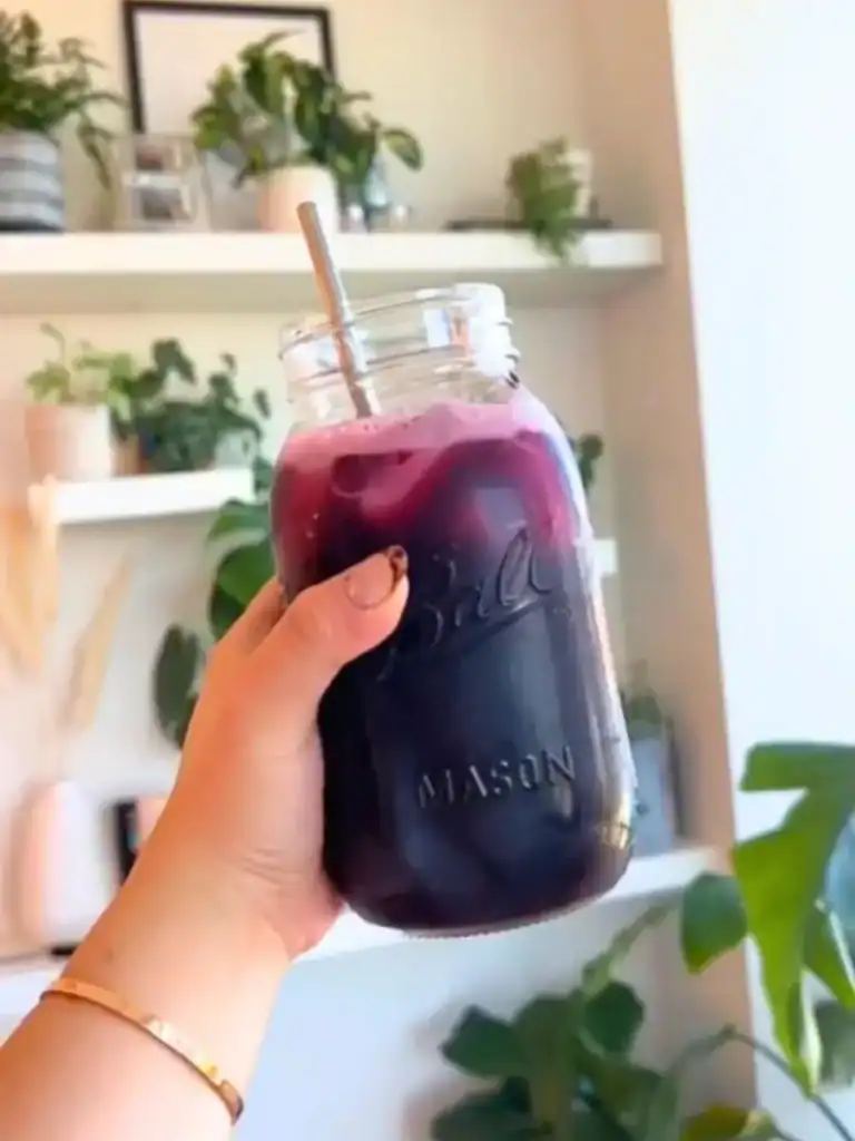 Healthy Fizzy Blueberry Chia Drink