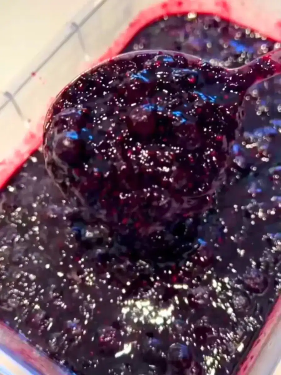 Homemade Blueberry Chia Jam for Fizzy Blueberry Chia Drink