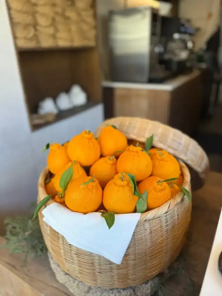 Jeju oranges from Jayeondo Sogeuumppang and Jayeondoga during Seoul Cafe Hopping
