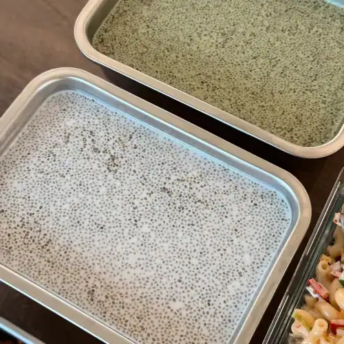 Two different flavor of coconut chia pudding: Original Coconut and Matcha