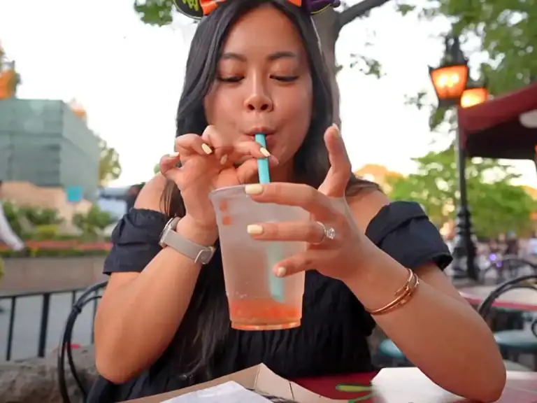 Fall 2025 Disneyland Anaheim Foodie Tour