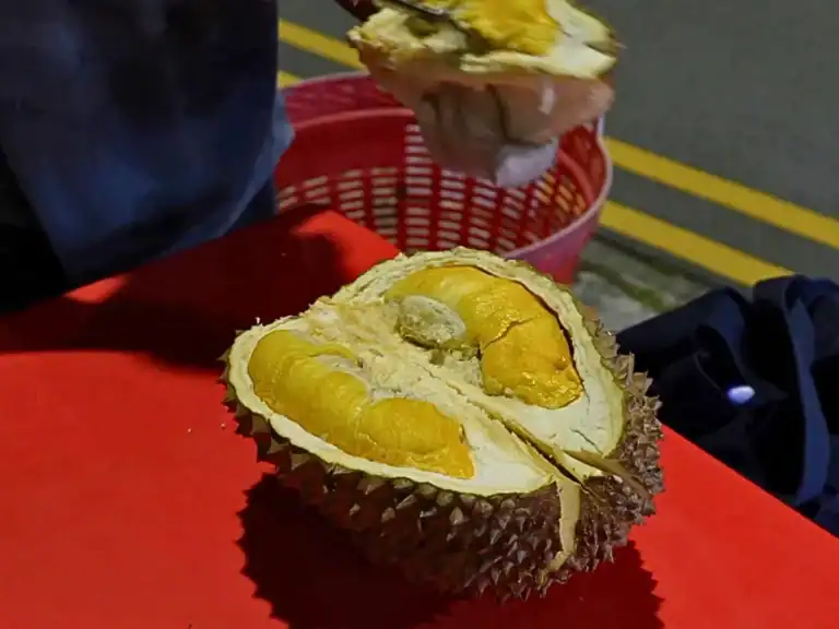 Adventurous Foods in Singapore in 1 Day!